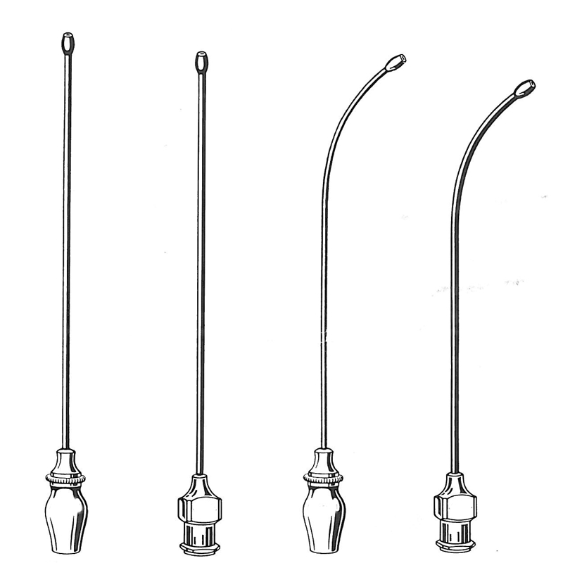 Knopfkanülen Olive B Luer gerade, Gr. 3, 2,0 x 80 mm (6 Stück)